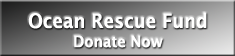 Ocean Rescue Fund