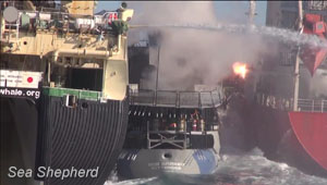 Japanese coast guard launches flash grenade at Bob Barker