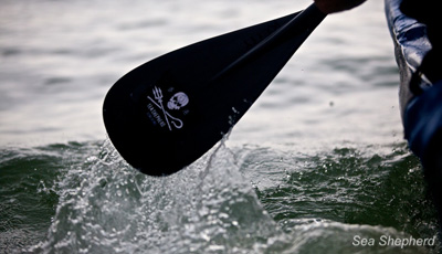 Sea Shepherd Paddle