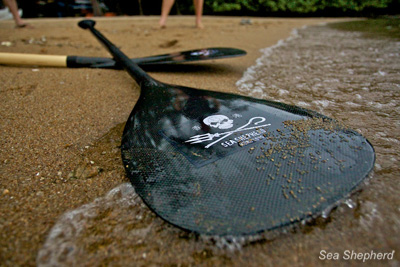 Sea Shepherd paddles that will be used during the race