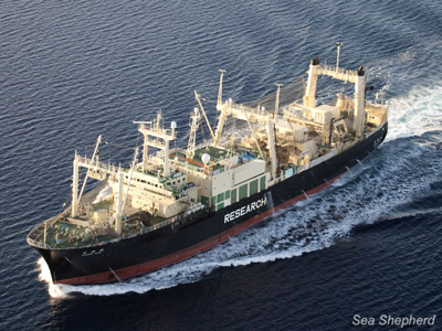 The Nisshin Maru in the Southern Ocean Whale Sanctuary