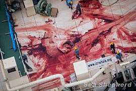 The final remains of a butchered Minke Whale