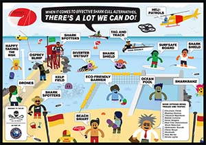There are many shark safety solutions now available (click to enlarge)