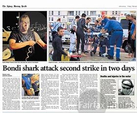 Glen Orgias (33) lost his left hand after being bitten by a 2.5m white shark while surfing at the netted Bondi Beach on 12 February 2009