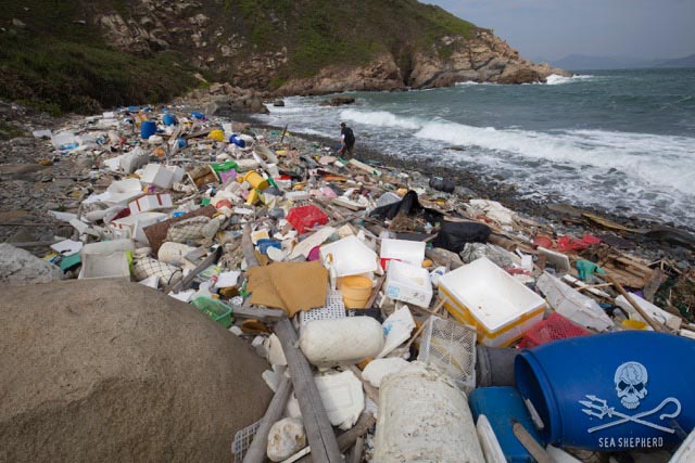Lap Sap Wan beach in Hong Kong covered in trash