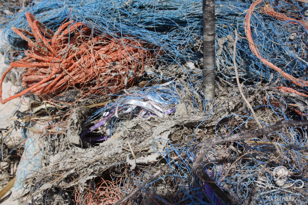 Most Dangerous Plastic in Oceans