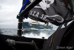Japanese whaling ship the Yushin Maru No. 2 speedily chasing after Sea Shepherd’s the Gojira