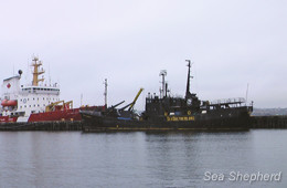 The Farley Mowat awaiting her fate at a Canadian port