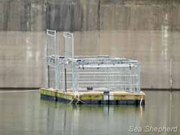 Sea Lion Cages