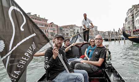Capt. Hammarstedt and Sea Shepherd – Italy onshore crew sail into Venice on a gondola