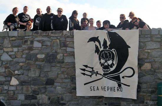 Volunteer with Sea Shepherd UK