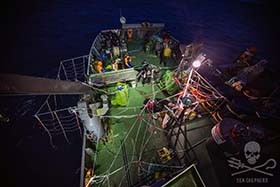 Strategic operations of the haul on the aft-deck of the Sam Simon. Photo: Giacomo Giorgi
