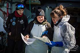 A variety of deep sea plants, animals and rocks were photographed and examined by the science team. Photo: Jeff Wirth