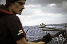 Bob Barker crew prepare to retrieve the Thunder's illegally-set gillnets. Photo: Simon Ager