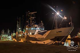 The Sam Simon docked in Port Louis, Mauritius. Photo: Giacomo Giorgi