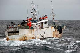 Sea Shepherd calls on the arrest of the Interpol-wanted Kunlun. Photo: Giacomo Giorgia