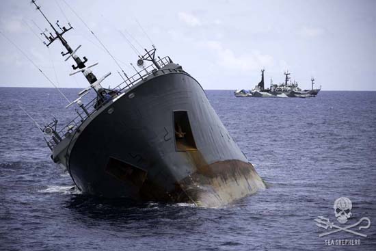 The Sea Shepherd ships remain at a safe distance from the sinking poaching vessel. Photo: Simon Ager