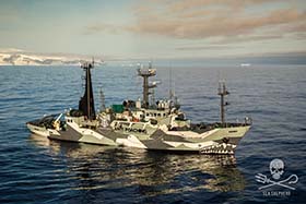 The Sam Simon  returns from Operation Icefish, bringing its Southern Ocean successes to the Faroe Islands. Photo: Marianna Baldo