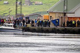 Locals gather for the slaughter at Hvannasund. Photo: Nils Greskewitz