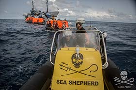 Sea Shepherd crews rescue the crew of the Thunder after the abandoned their sinking ship. Photo: Jeff Wirth