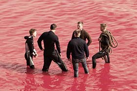 Whale hunters in a sea of red. Photo: Eliza Muirhead