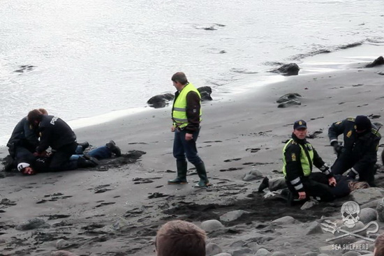 Rosie Kunneke and Christophe Bondue, arrested at the Bøur slaughter on July 23. Photo: Sea Shepherd