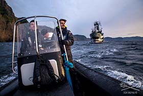 Sea Shepherd crews on patrol, defending the pilot whales of the Faroe Islands. Photo: Iraultza Darias