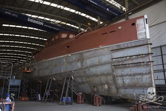 The aluminium superstructure of the new vessel is placed on top of the steel hull. Photo: Gary Stokes