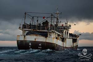 Fu Yuan Yu 071 with illegal driftnet fishing gear on board. Photo: Eliza Muirhead