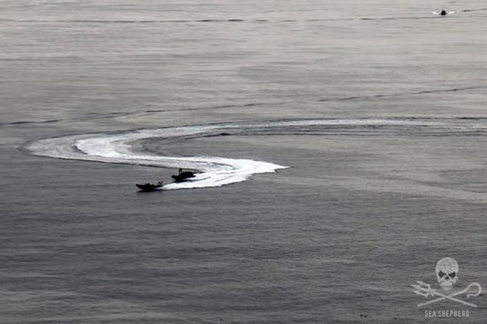 17th Sept 2014 Danish Navy pursue MV Spitfire off Torshavn