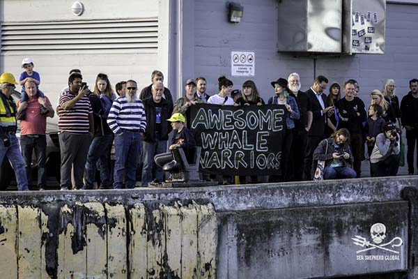 Sea Shepherd supporters in Hobart, Tasmania. Photo: Sea Shepherd Global/Simon Ager
