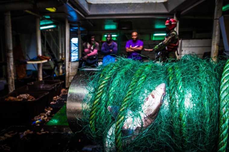 F/V was using gillnets prohibited under their licensing conditions. Photo Melissa Romao/Sea Shepherd.
