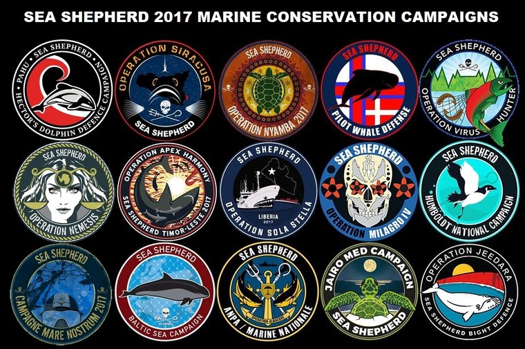 Sea Shepherd Uk Sea Shepherd S 25 Marine Conservation Campaigns In 2017