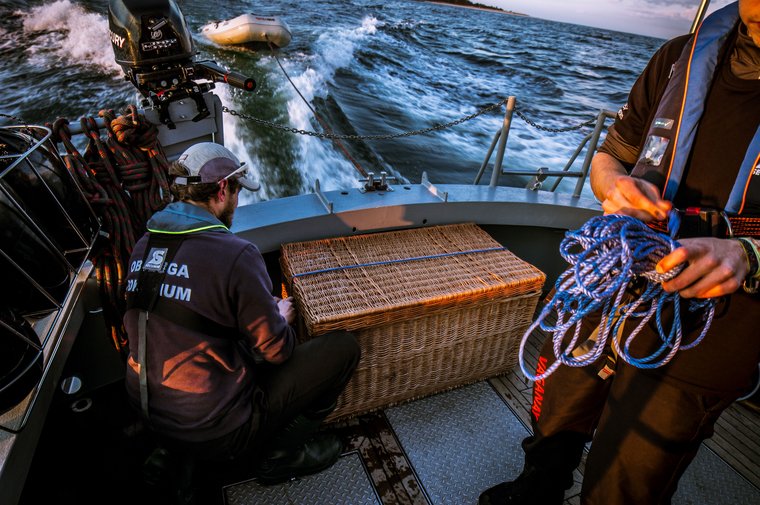  The seal pup is transported safely in a basket on the M/V Emanuel Bronner. Photo by Sea Shepherd.