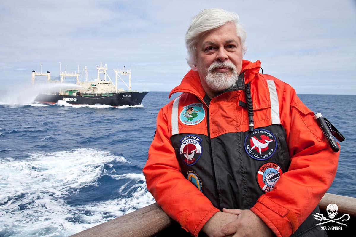 Sea Shepherd Paul Watson Nisshin Maru