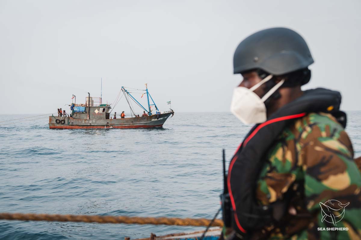 Sierra Leone Navy arrests trawlers inside protected area