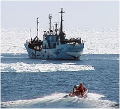 The Farley Mowat in the Cabot Strait