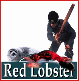Red Lobster: Stop the Seal Slaughter!