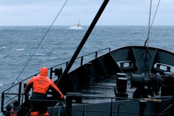 news_090106_1_1_Steve_Irwin_encounters_whaling_fleet