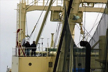 news_090201_2_1_Japanese_whalers_aim_illegal_long_range_acoustic_device