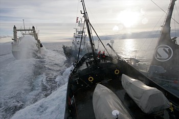 news_090206_1_Steve_Irwin_collides_with_Japanese_harpoon_whaling_ship_the_Yushin_Maru_No_3
