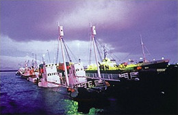 Iceland whaling vessels