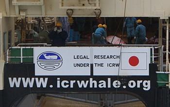 news_090617_1_Japan_whaling