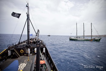 Steve Irwin and Greenpeace Ships