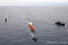 (l to r) The Bob Barker, the Gojira, the Sun Laurel refueling and supply tanker, and the Steve Irwin on the move