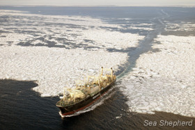 The Nisshin Maru exiting the ice floes