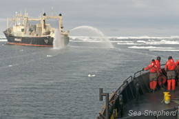 Sea Shepherd crewmembers gather at the bow of the Bob Barker. Photo: Sam Sielen