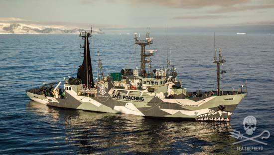 Sea Shepherd UK - The Fleet